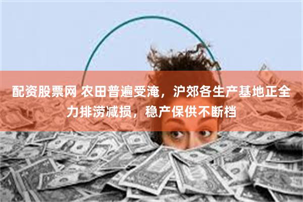 配资股票网 农田普遍受淹，沪郊各生产基地正全力排涝减损，稳产保供不断档