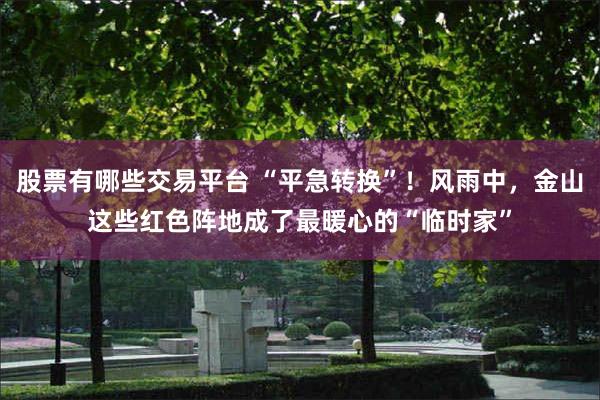 股票有哪些交易平台 “平急转换”！风雨中，金山这些红色阵地成了最暖心的“临时家”