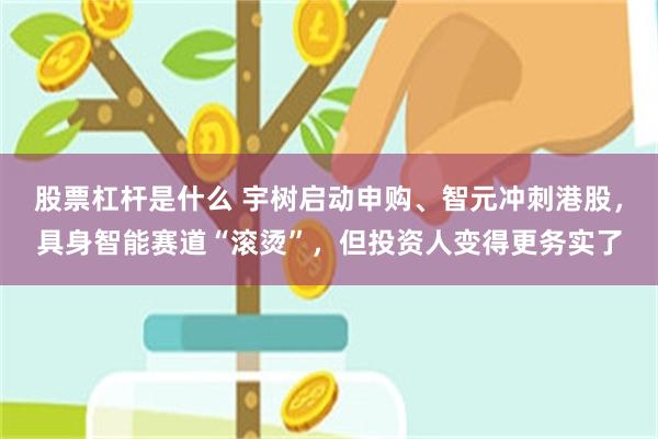 股票杠杆是什么 宇树启动申购、智元冲刺港股,具身智能赛道“滚烫”,但投资人变得更务实了