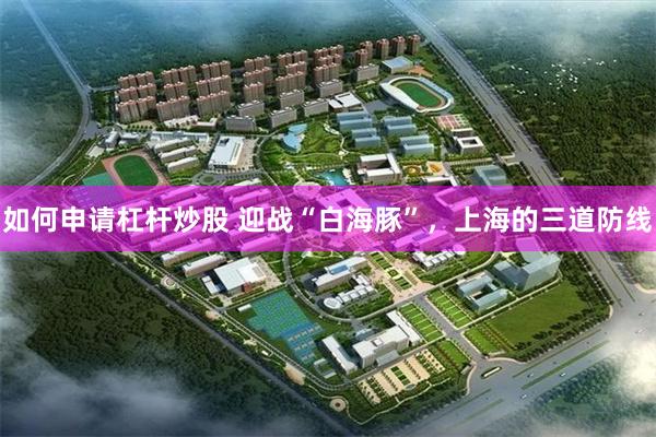 如何申请杠杆炒股 迎战“白海豚”，上海的三道防线