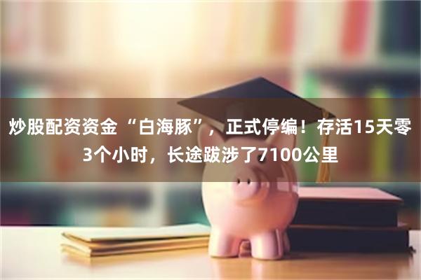 炒股配资资金 “白海豚”，正式停编！存活15天零3个小时，长途跋涉了7100公里