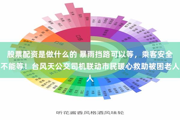 股票配资是做什么的 暴雨挡路可以等，乘客安全不能等！台风天公交司机联动市民暖心救助被困老人