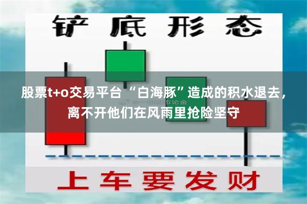 股票t+o交易平台 “白海豚”造成的积水退去，离不开他们在风雨里抢险坚守