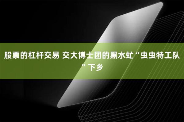 股票的杠杆交易 交大博士团的黑水虻“虫虫特工队”下乡