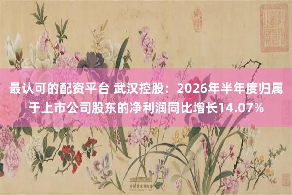 最认可的配资平台 武汉控股：2026年半年度归属于上市公司股东的净利润同比增长14.07%