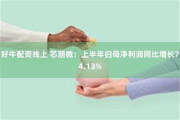 好牛配资线上 芯朋微：上半年归母净利润同比增长74.13%