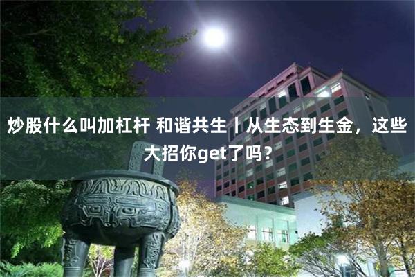 炒股什么叫加杠杆 和谐共生丨从生态到生金，这些大招你get了吗？