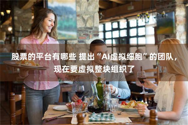 股票的平台有哪些 提出“AI虚拟细胞”的团队,现在要虚拟整块组织了