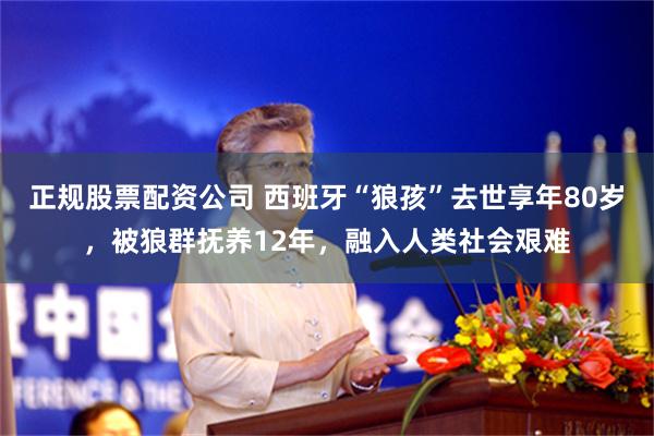 正规股票配资公司 西班牙“狼孩”去世享年80岁，被狼群抚养12年，融入人类社会艰难