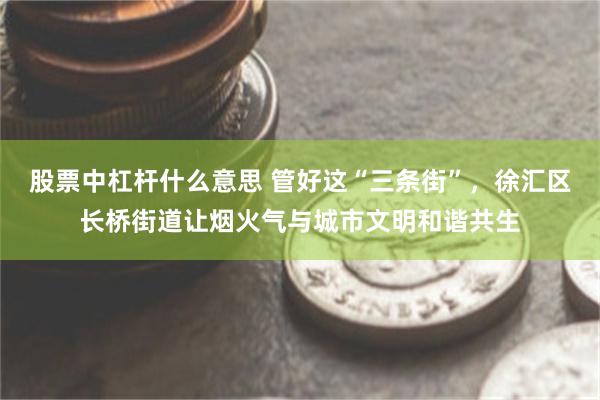 股票中杠杆什么意思 管好这“三条街”，徐汇区长桥街道让烟火气与城市文明和谐共生