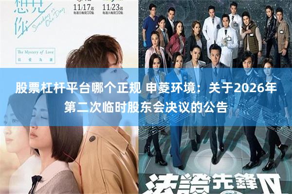 股票杠杆平台哪个正规 申菱环境：关于2026年第二次临时股东会决议的公告