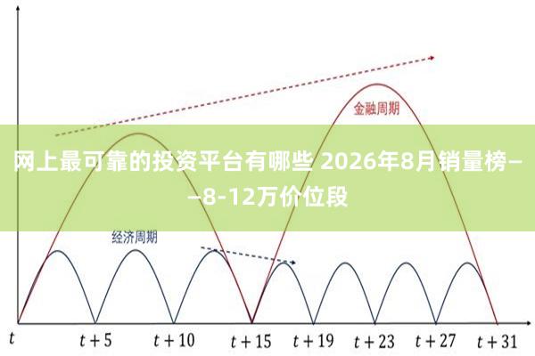 网上最可靠的投资平台有哪些 2026年8月销量榜——8-12万价位段
