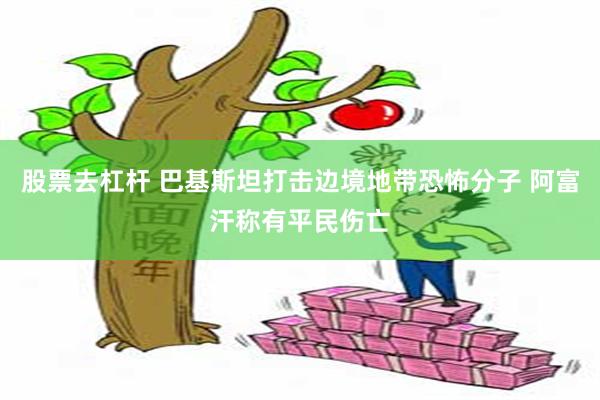 股票去杠杆 巴基斯坦打击边境地带恐怖分子 阿富汗称有平民伤亡