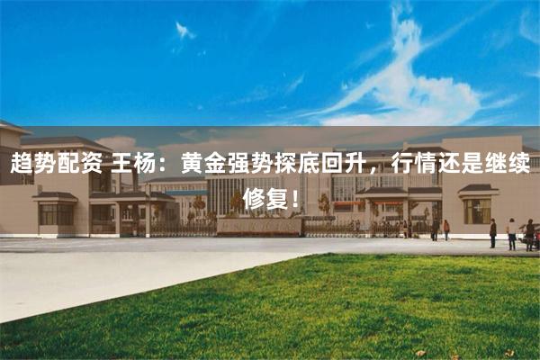 趋势配资 王杨：黄金强势探底回升，行情还是继续修复！